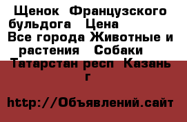 Щенок  Французского бульдога › Цена ­ 35 000 - Все города Животные и растения » Собаки   . Татарстан респ.,Казань г.